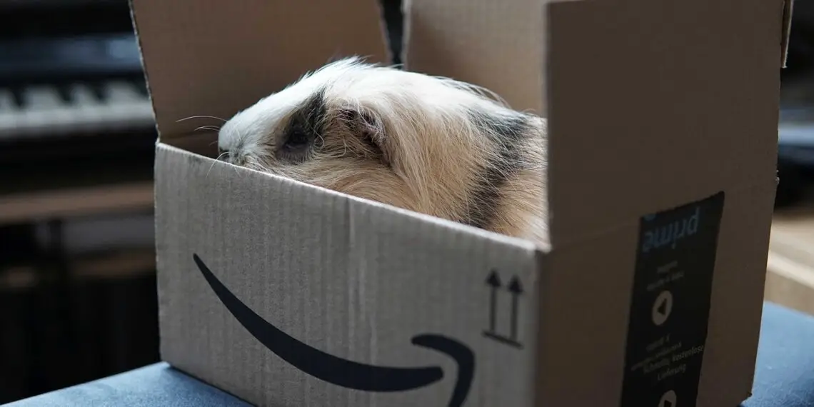 Amazon Paket geöffnet